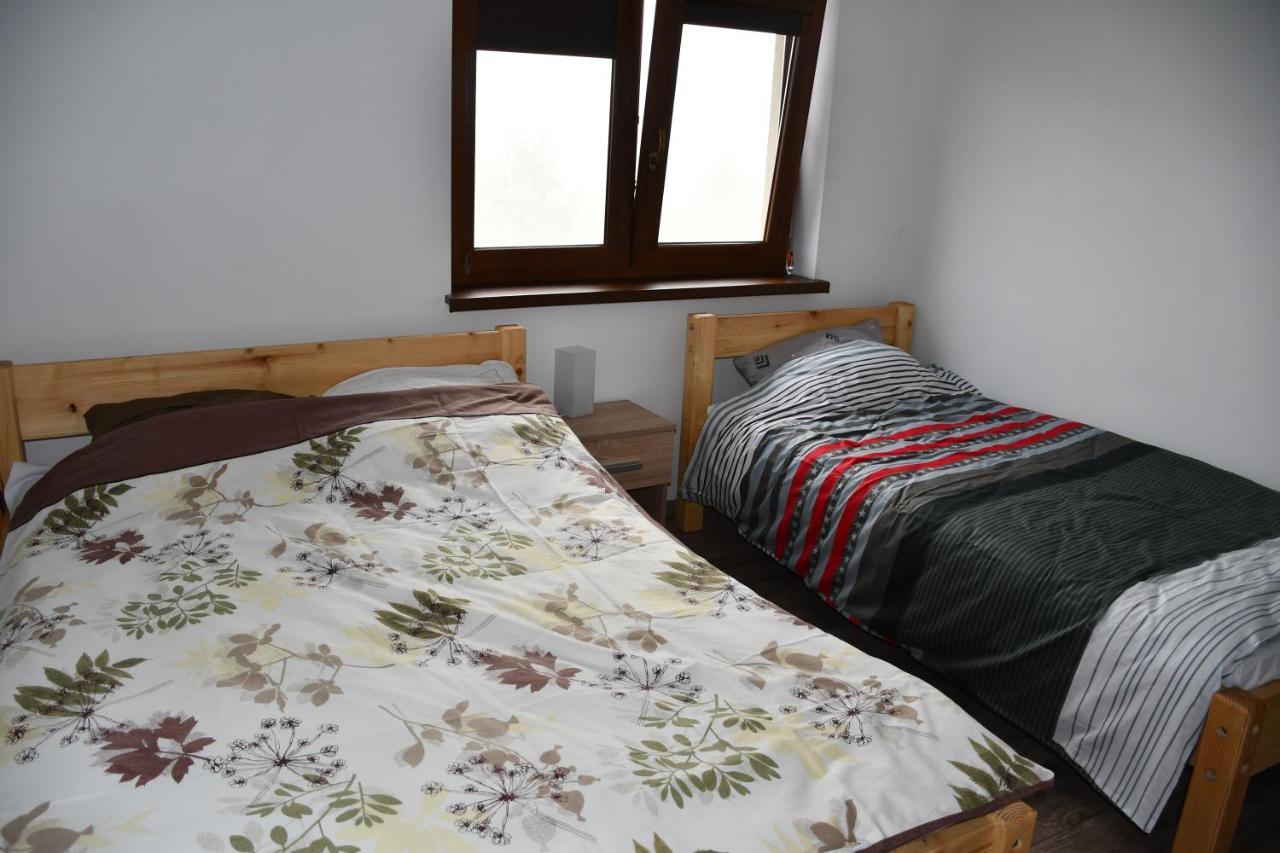Pod Nartami Apartment Hoczew