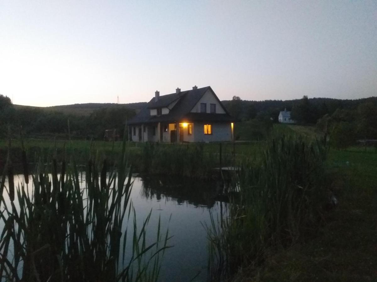 Pod Nartami Hoczew