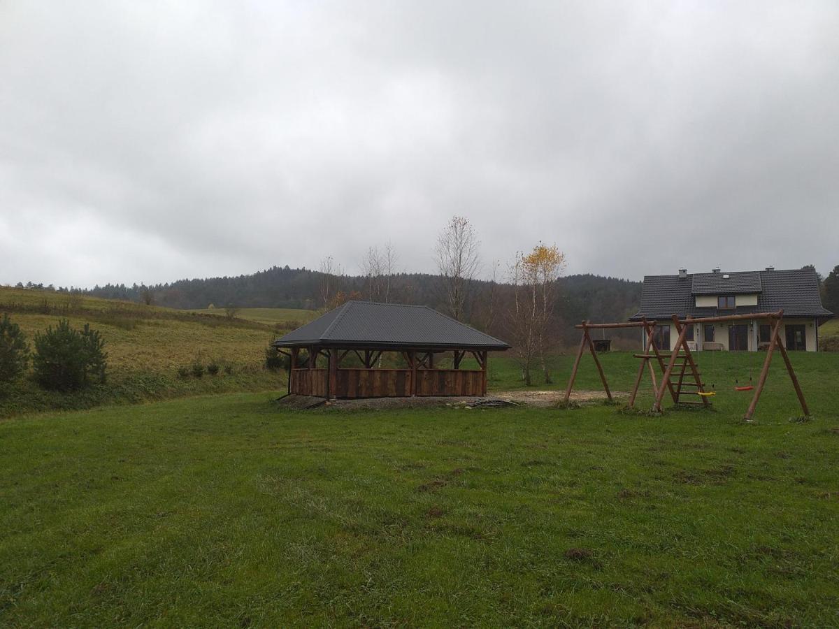 Pod Nartami Hoczew