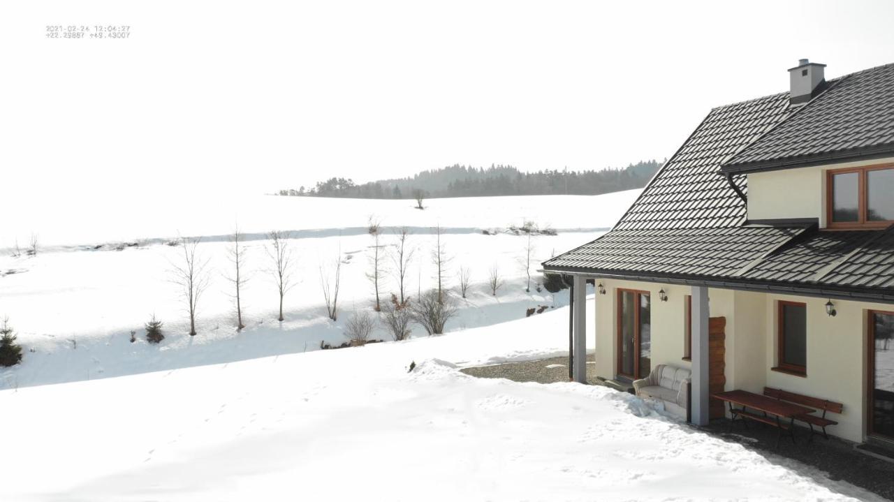 Pod Nartami Apartment Hoczew
